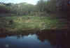 ranch2